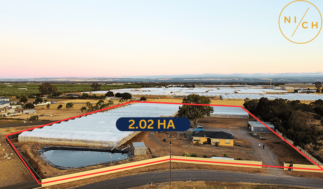 Great land for farm owner at Virginia