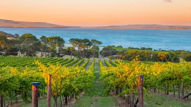 Why South Australia is the Perfect Place for Property Investment