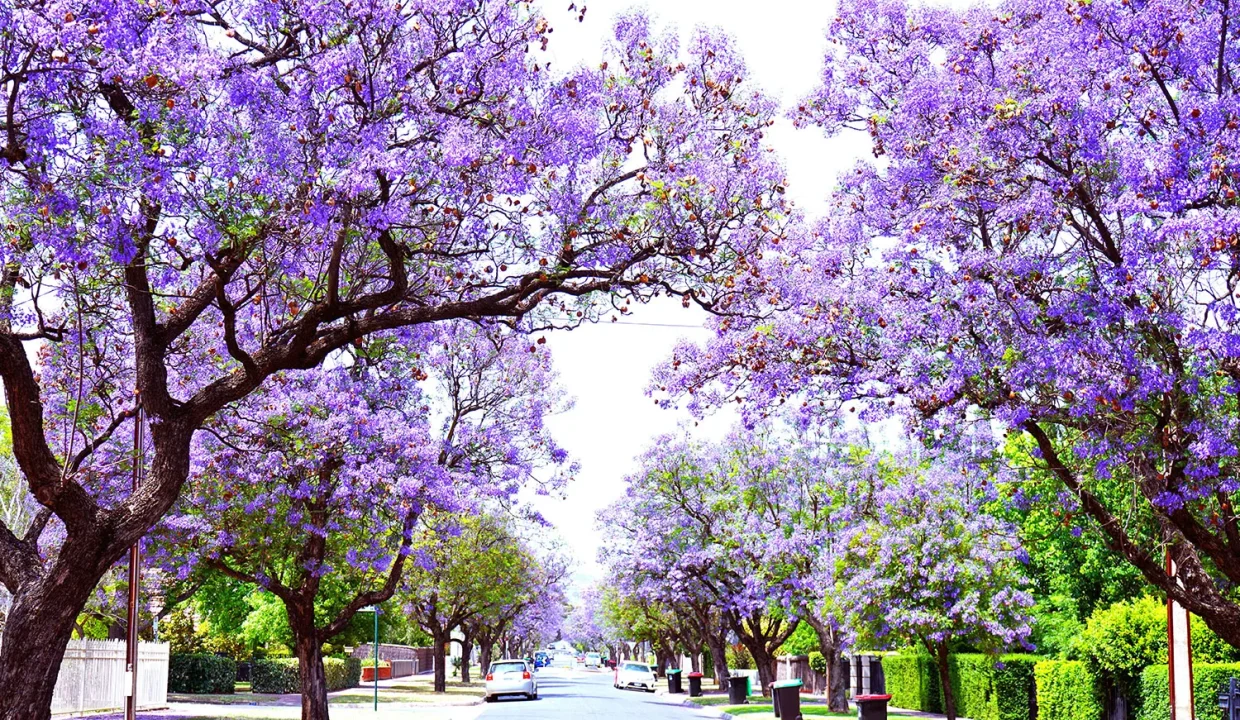 Adelaide Ranked Among the World’s Top 30 Cities for 2026