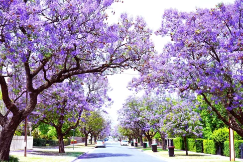 Adelaide Ranked Among the World’s Top 30 Cities for 2026