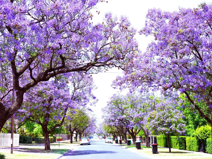 Adelaide Ranked Among the World’s Top 30 Cities for 2026