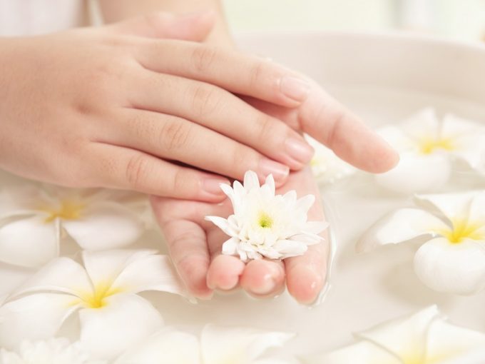 nail salon for sale North Adelaide