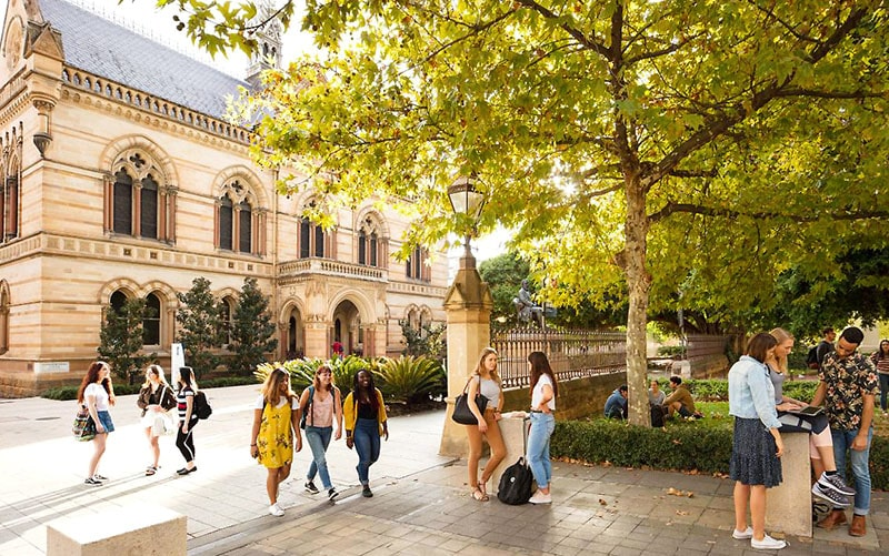 Market Education: Is Adelaide the Right Choice for Property Investment?